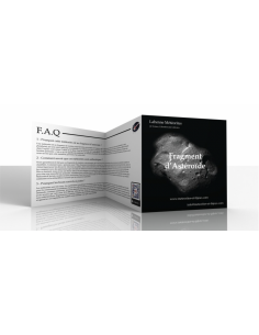 Lot de 100 Météorites NWA...