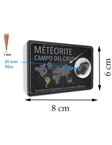 Météorite ferreuse : Campo del Cielo, taille L