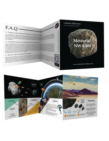 Météorite rocheuse NWA 869 en écrin