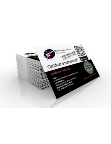 Météorite NWA 869 en éprouvette !