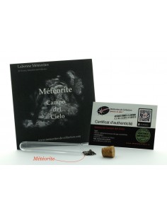 Météorite Campo del Cielo en éprouvette 2
