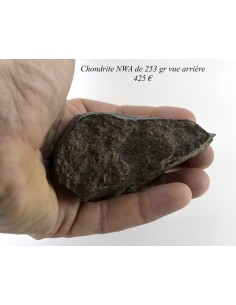 Chondrite NWA 253 2