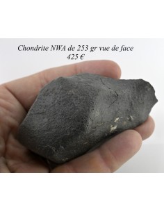 Chondrite NWA 253