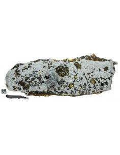 SEYMCHAN Pallasite - 395 g - 2