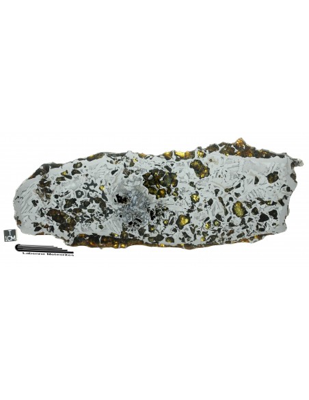 SEYMCHAN Pallasite - 395 g -