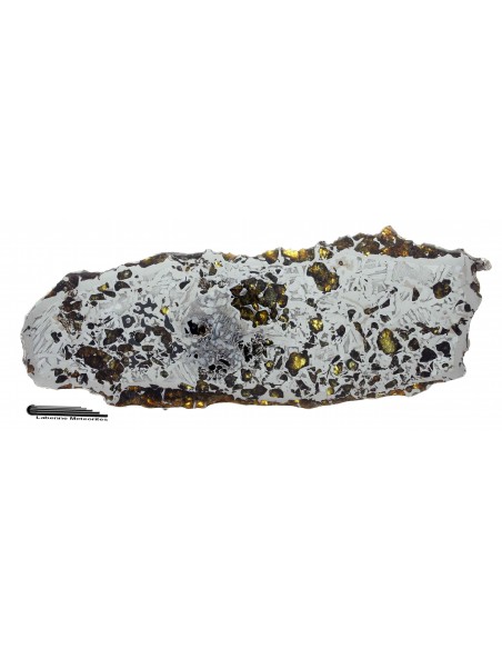 SEYMCHAN Pallasite - 395 g -