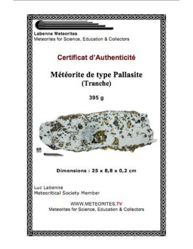 SEYMCHAN Pallasite - 395 g -