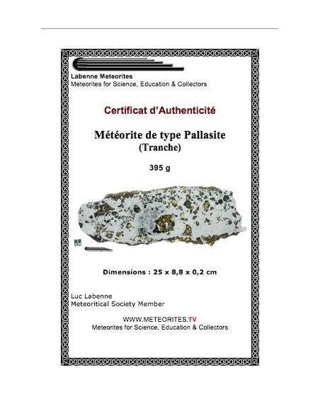 SEYMCHAN Pallasite - 395 g -