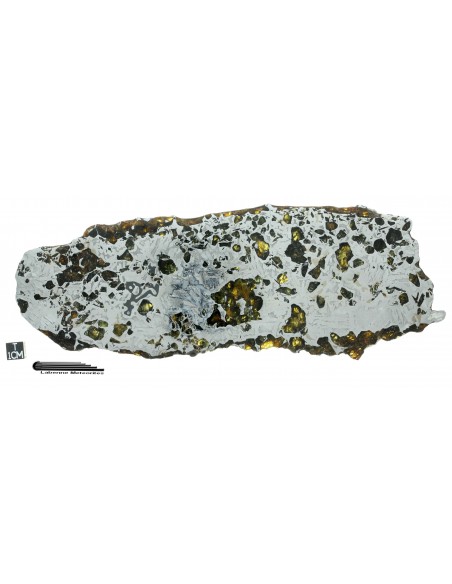SEYMCHAN Pallasite - 395 g -