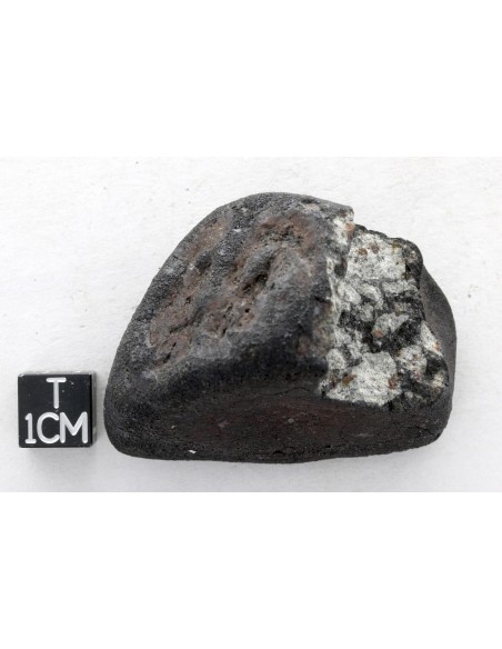 Météorite de Chelyabinsk de 81 grammes