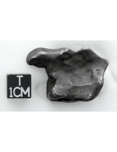 Sikhote Alin Météorite / 32,25 g / Orientée 2