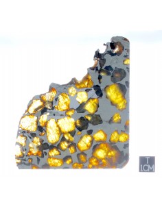 ESQUEL Pallasite  2