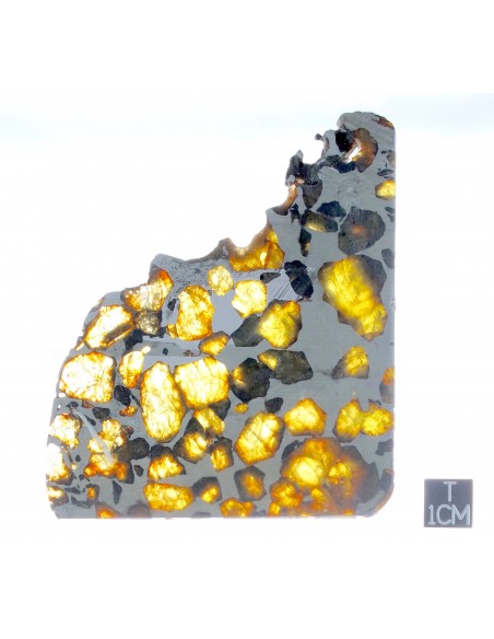 ESQUEL Pallasite 