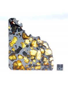 ESQUEL Pallasite 
