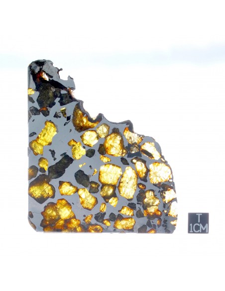 ESQUEL Pallasite 