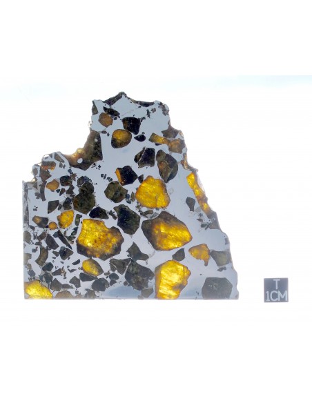 ESQUEL Pallasite 