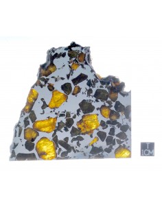 ESQUEL Pallasite 