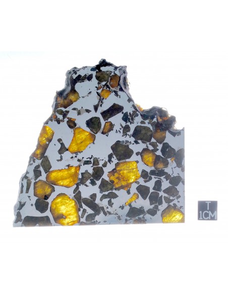 ESQUEL Pallasite 