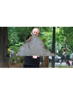 Cape York Météorite, tranche de 6,5 kg