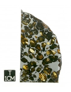 SEYMCHAN Pallasite 19,70g qualité AAA + 2