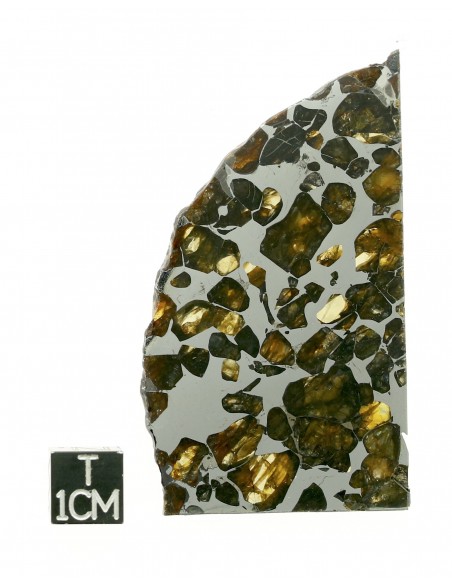 SEYMCHAN Pallasite 19,70g qualité AAA +