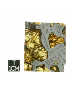 SEYMCHAN Pallasite 19,70g qualité AAA + 2