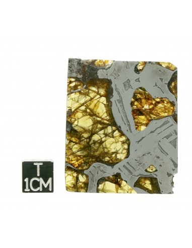 SEYMCHAN Pallasite 19,70g qualité AAA +