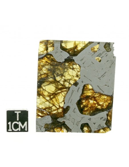 SEYMCHAN Pallasite 19,70g qualité AAA +