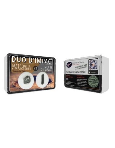 Duo de l'impact : météorite et tectite de type "atacamaïte" à acheter