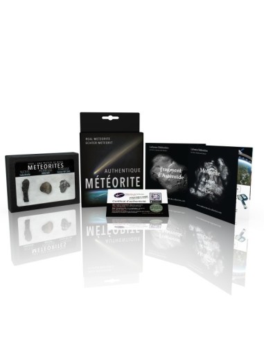 Trio de météorites et tectite "indochinite"
