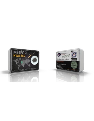Météorite rocheuse NWA 869 en écrin
