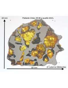 Météorite Pallasite Imilac...