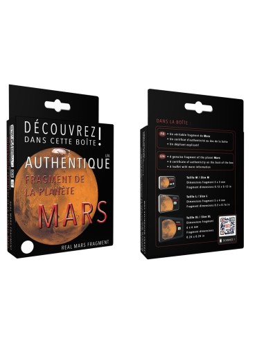 Météorite martienne en écrin de qualité à acheter