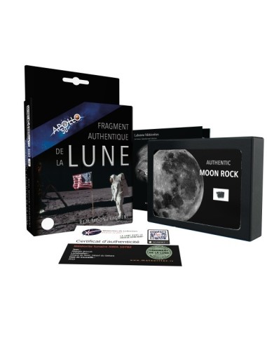 Fragment de météorite lunaire en écrin à acheter