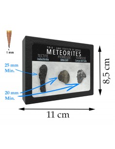 Trio de Météorites et...