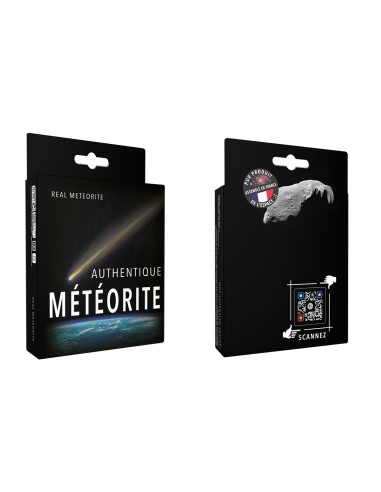 Météorite ferreuse : Campo del Cielo, taille L