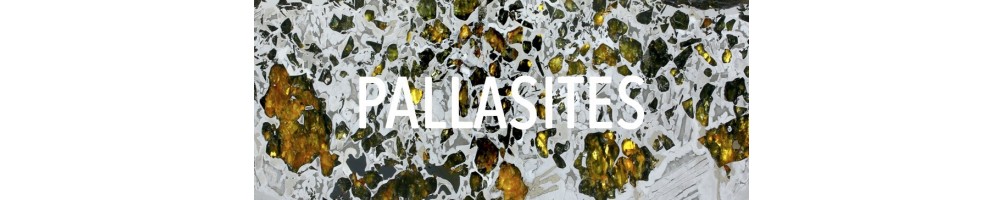 Une pallasite, achetez maintenant la plus étonnante des météorites