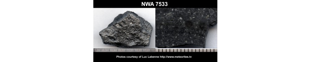 NWA 7533 Black Beauty, météorite martienne