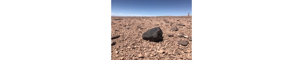 Météorites de l'Atacama